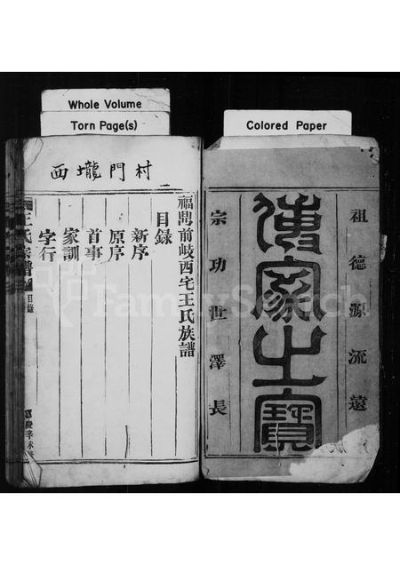 福建王氏族谱-褔鼎前岐西宅王氏族谱.pdf电子版插图2