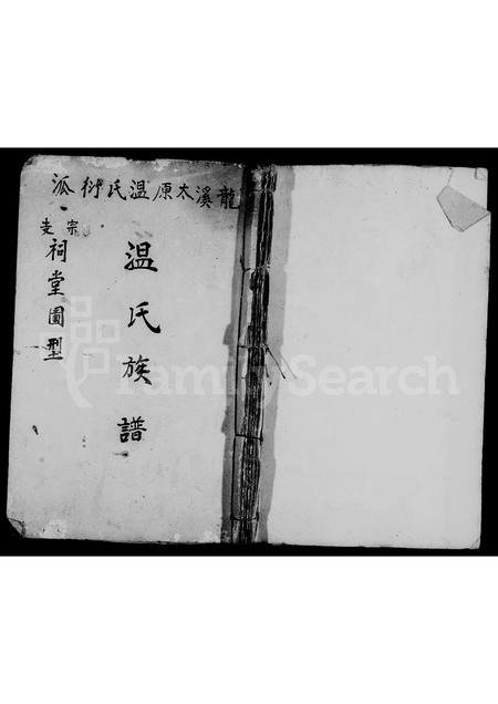 福建温氏族谱-龙溪太原温氏衍派温氏族谱.pdf电子版插图2