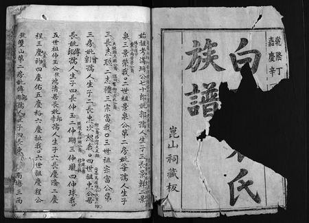 福建袁氏族谱-白砂袁氏族谱 [4卷,及卷首].pdf电子版插图2