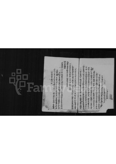 福建洪氏族谱-[洪氏族谱].pdf电子版插图2