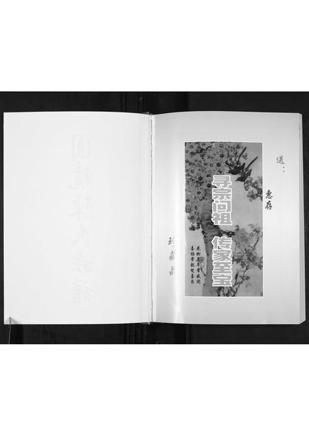 广东陈氏族谱-圆镜陈氏族谱.pdf电子版插图2