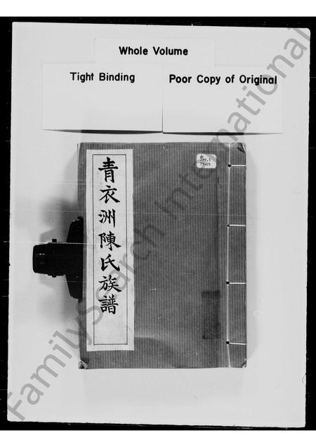 广东陈氏族谱-青衣洲陈氏族谱.pdf电子版插图2