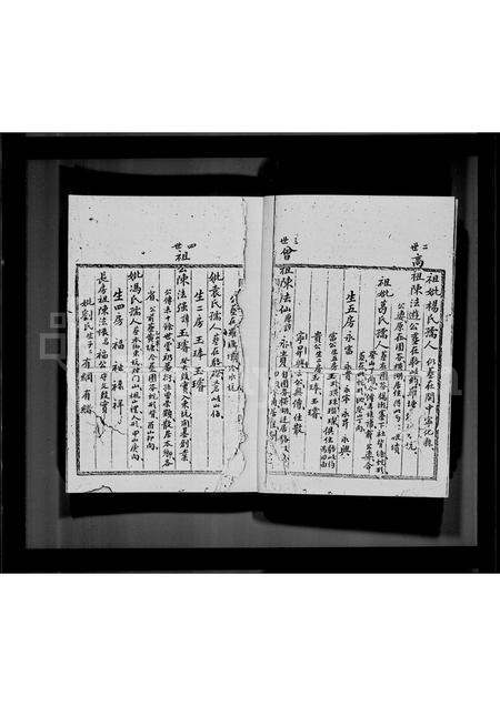 广东陈氏族谱-鹿颈村陈氏族谱.pdf电子版插图2 广东陈氏族谱-鹿颈村陈氏族谱.pdf电子版插图2