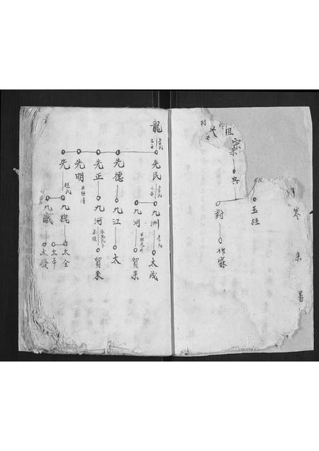 河南陈氏族谱-陈氏宗谱[不分卷].pdf电子版插图2