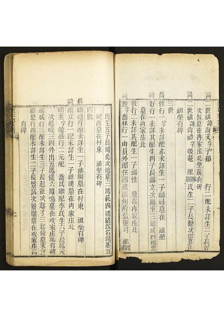 河南陈氏族谱-陈氏家谱.pdf电子版插图2 河南陈氏族谱-陈氏家谱.pdf电子版插图2