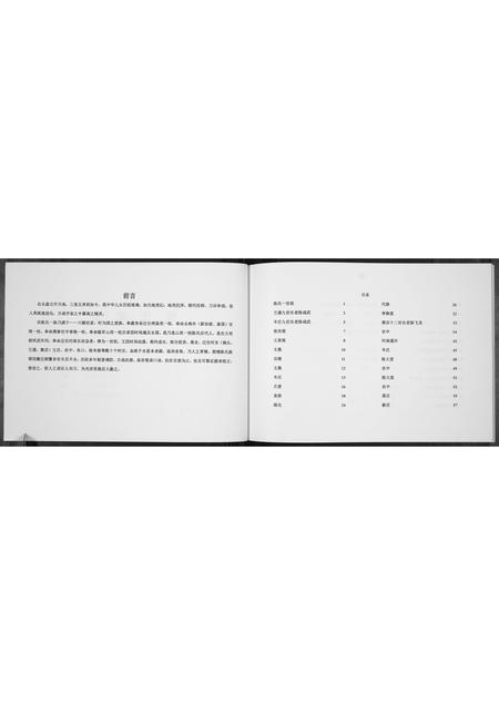 河南陈氏族谱-陈氏家谱[不分卷].pdf电子版插图2