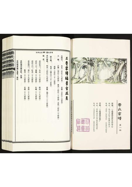 河南爨氏族谱-爨氏家谱.pdf电子版插图2