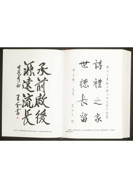 河南杜氏族谱-杜氏族谱.pdf电子版插图2