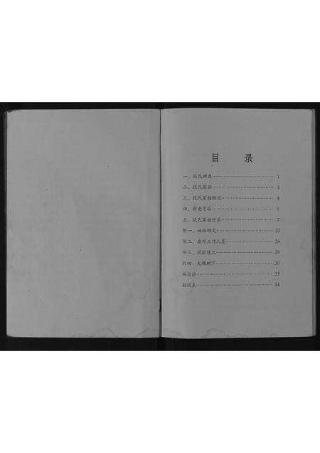 河南段氏族谱-段氏家谱[不分卷].pdf电子版插图2