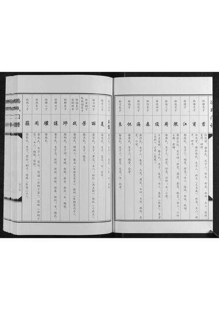 河南冯氏族谱-冯氏门谱[上下卷].pdf电子版插图2