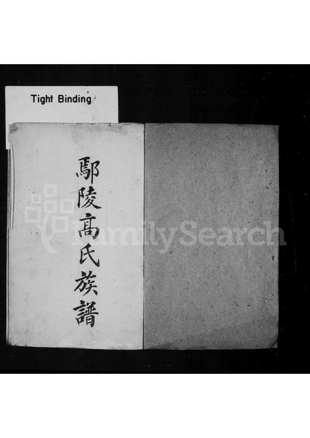 河南高氏族谱-鄢陵高氏族谱.pdf电子版插图2