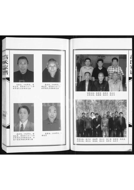 河南高氏族谱-高氏家谱.pdf电子版插图2 河南高氏族谱-高氏家谱.pdf电子版插图2