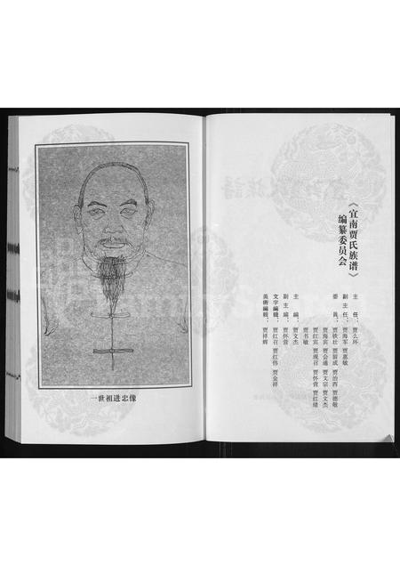 河南贾氏族谱-宜南贾氏族谱.pdf电子版插图2