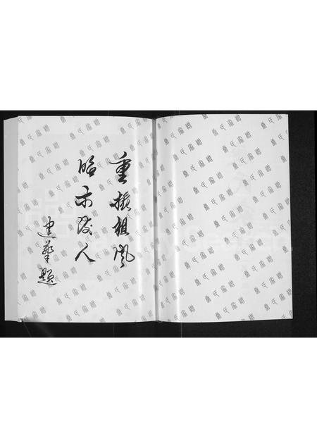 河南康氏族谱-康氏家谱.pdf电子版插图2