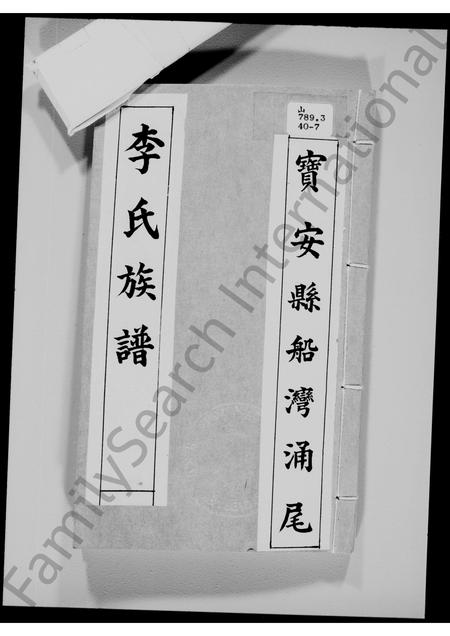 广东李氏族谱-宝安县船湾涌尾李氏族谱.pdf电子版插图2