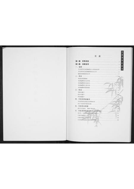 河南李氏族谱-月亮湾李氏家谱.pdf电子版插图2