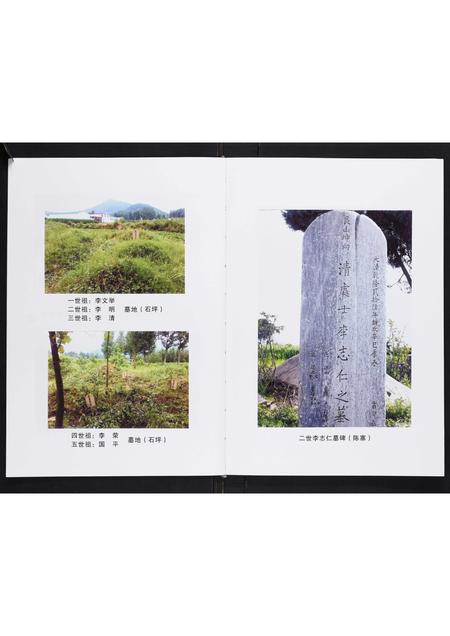 河南李氏族谱-李氏家谱[不分卷].pdf电子版插图2