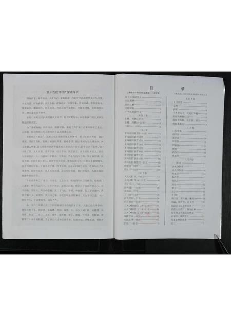 河南理氏族谱-理氏族谱(全集上下卷).pdf电子版插图2