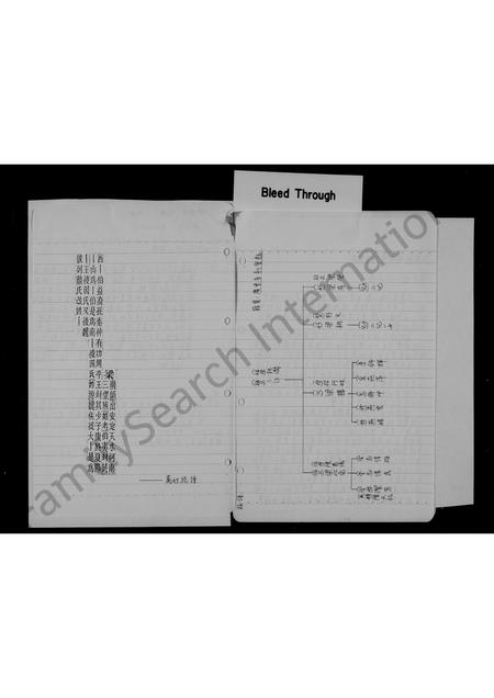 广东梁氏族谱-[梁氏家谱].pdf电子版插图2