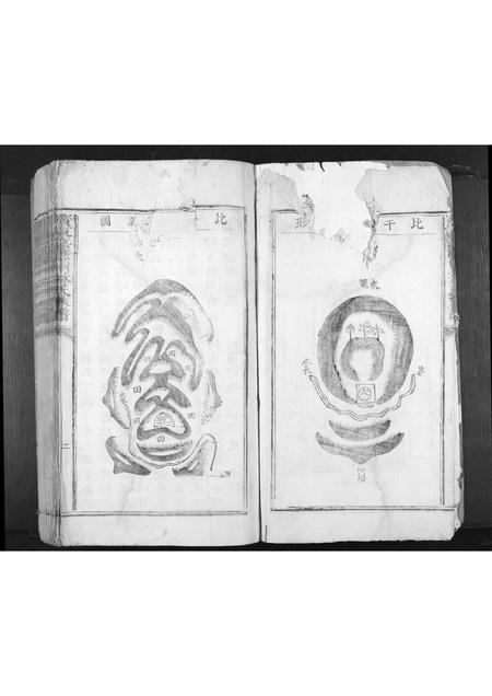 广东林氏族谱-广东嘉应州林氏族谱[不分卷].pdf电子版插图2