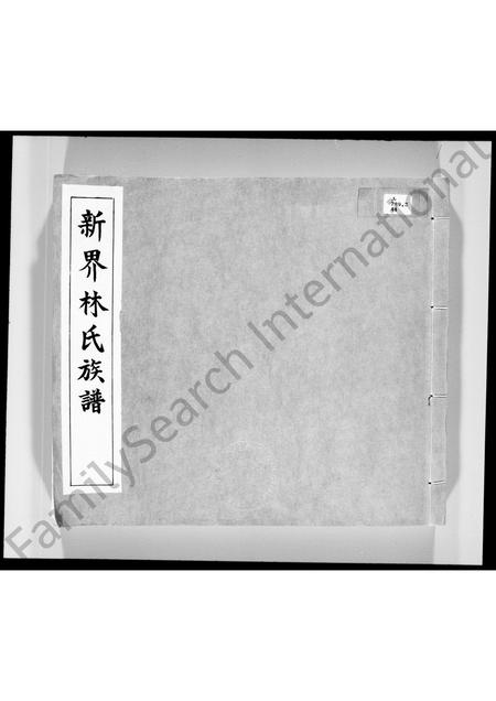 广东林氏族谱-新界林氏族谱.pdf电子版插图2 广东林氏族谱-新界林氏族谱.pdf电子版插图2