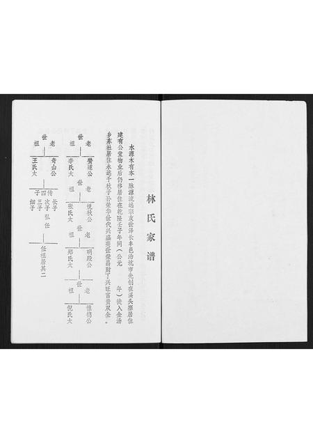广东林氏族谱-林氏元丰家谱.pdf电子版插图2