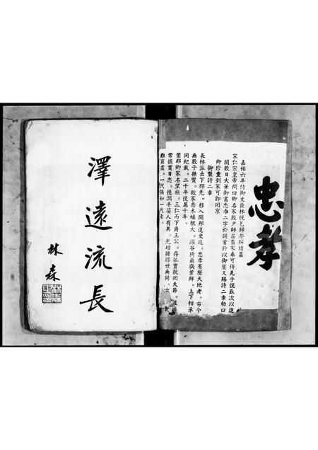 广东林氏族谱-[林氏]长山世谱.pdf电子版插图2