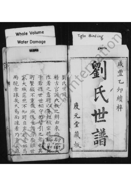 河南刘氏族谱-刘氏世谱 [4卷].pdf电子版插图2