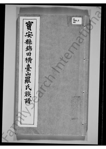广东罗氏族谱-宝安县锦田横台山罗氏族谱.pdf电子版插图2