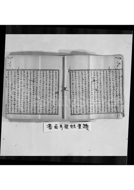 广东罗氏族谱-罗氏族谱.pdf电子版插图2