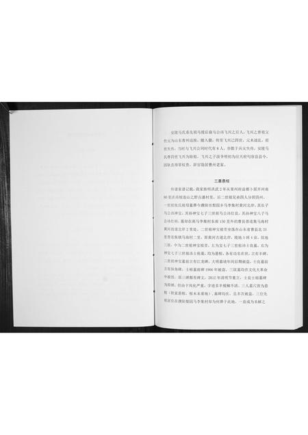 河南马氏族谱-开濮曹徐马氏家族轶事[不分卷].pdf电子版插图2