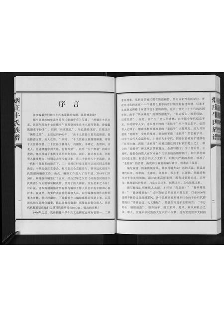 河南牛氏族谱-牛氏族谱.pdf电子版插图2
