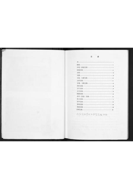 河南齐氏族谱-齐恒支族家谱.pdf电子版插图2