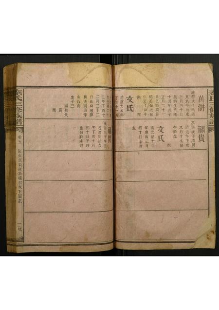 广东秦氏族谱-秦氏三修族谱.pdf电子版插图2