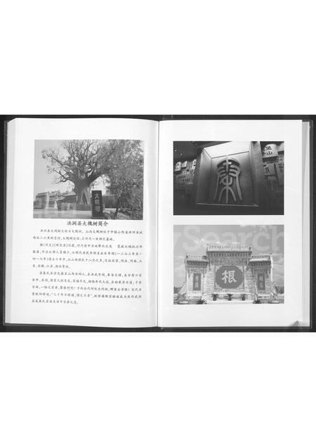 河南秦氏族谱-秦氏家谱 [不分卷].pdf电子版插图2