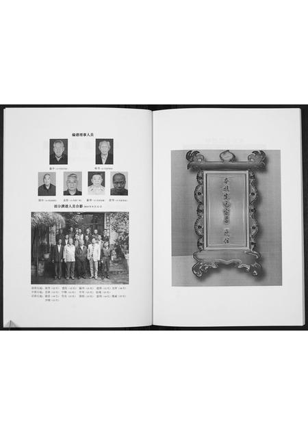 河南师氏族谱-师姓嵩县家谱[不分卷].pdf电子版插图2