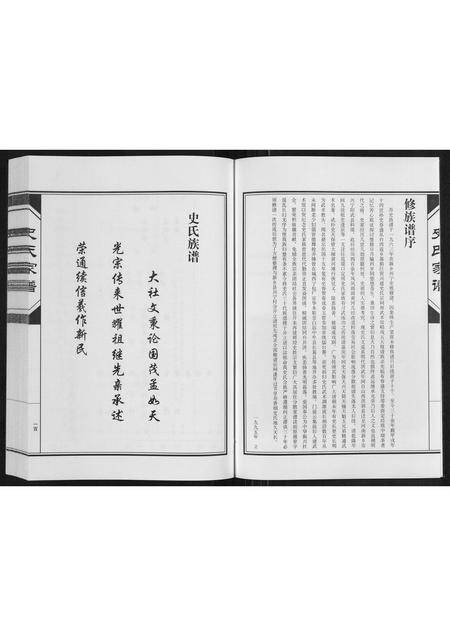 河南史氏族谱-史氏家谱[不分卷].pdf电子版插图2