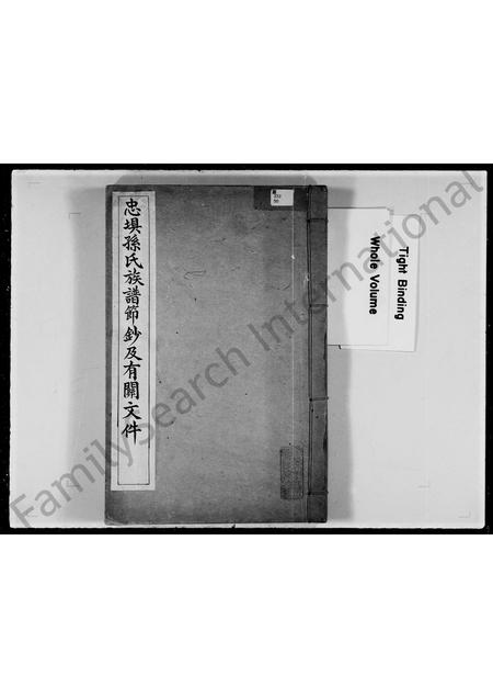 广东孙氏族谱-忠埧孙氏族谱节钞及有关文件.pdf电子版插图2