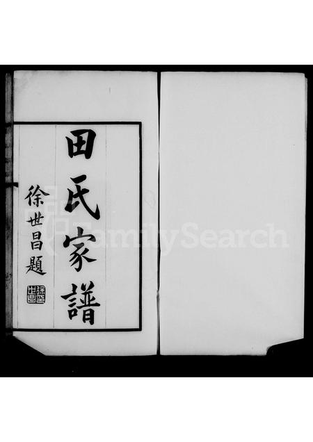 河南田氏族谱-大梁田氏家谱.pdf电子版插图2