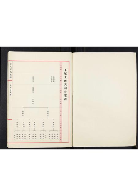 广东王氏族谱-下尾王氏族谱.pdf电子版插图2 广东王氏族谱-下尾王氏族谱.pdf电子版插图2