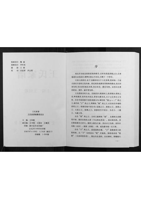 河南王氏族谱-王氏家谱.pdf电子版插图2