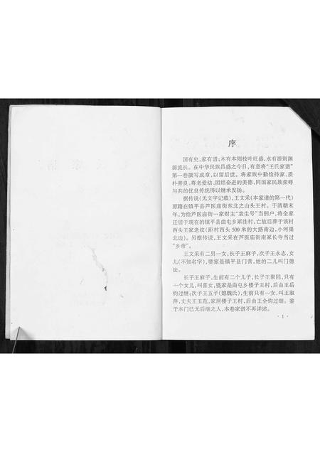 河南王氏族谱-王氏家谱[不分卷].pdf电子版插图2