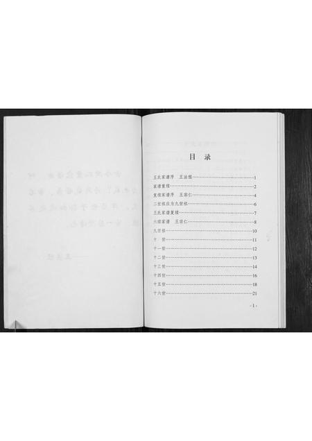 河南王氏族谱-王氏族谱.pdf电子版插图2 河南王氏族谱-王氏族谱.pdf电子版插图2
