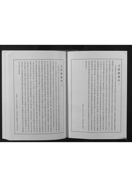 河南王氏族谱-王氏族谱.pdf电子版插图2