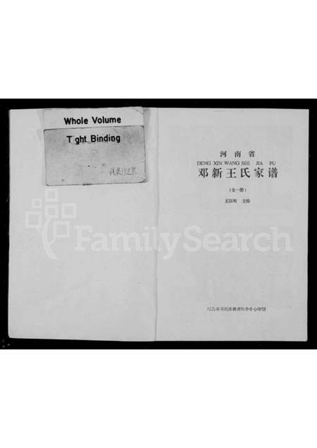 河南王氏族谱-邓新王氏家谱.pdf电子版插图2