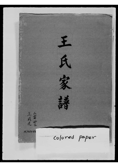 河南王氏族谱-王氏家谱.pdf电子版插图2 河南王氏族谱-王氏家谱.pdf电子版插图2