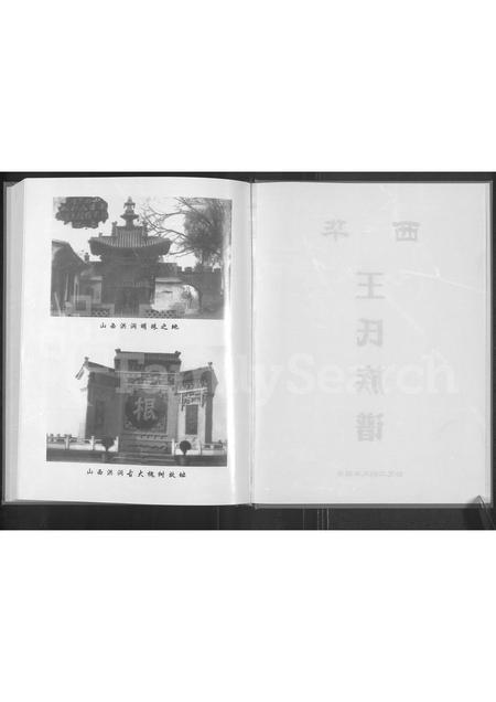 河南王氏族谱-西华王氏族谱.pdf电子版插图2