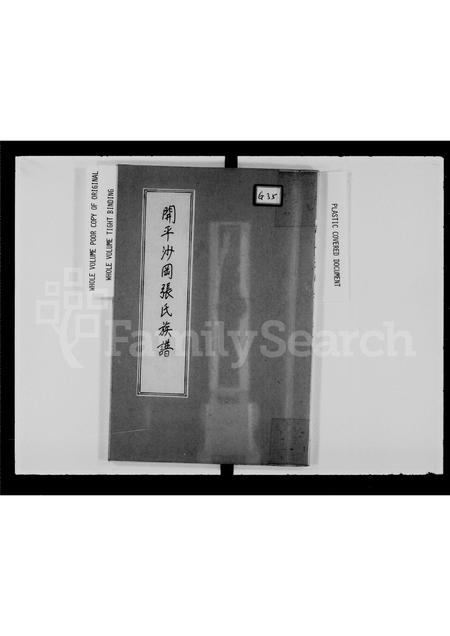 广东未知族谱-开平沙冈张氏族谱.pdf电子版插图2