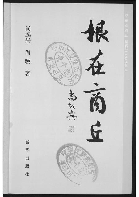 河南未知族谱-根在商丘.pdf电子版插图2