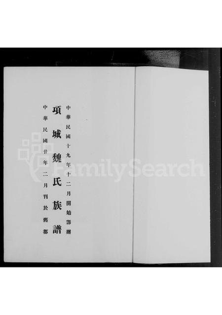 河南魏氏族谱-项城魏氏族谱.pdf电子版插图2